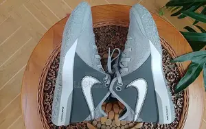 Lebron NXXT Gen Basketball Sheos Nike