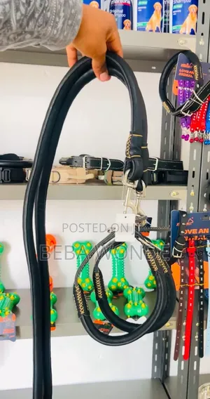 Retractable Dog Leash