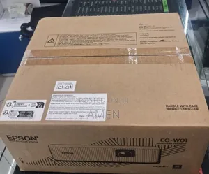 Epson Projector