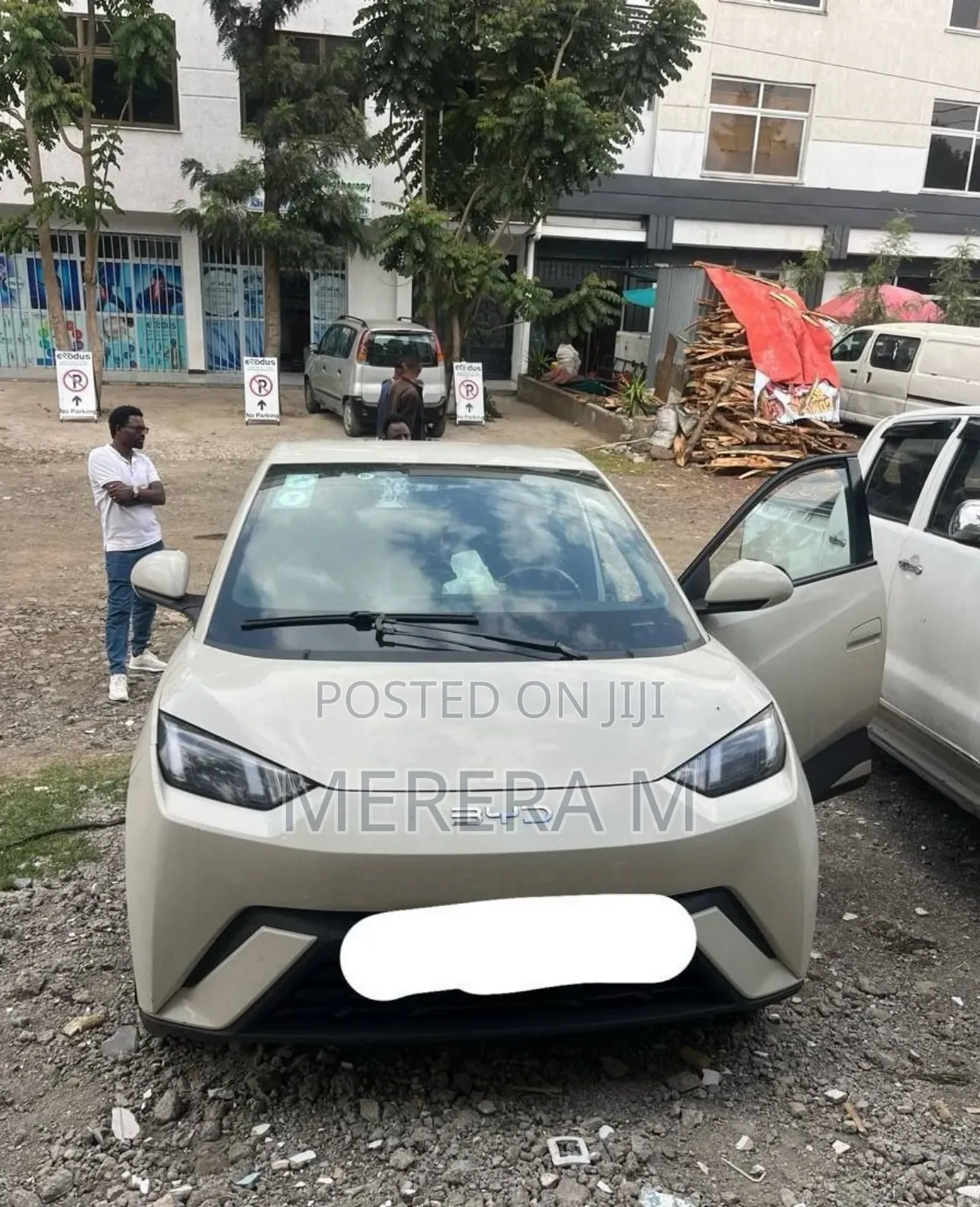 BYD Seagull 2024 Gray