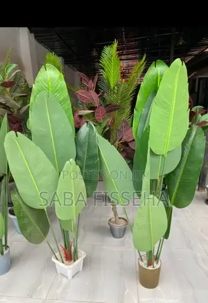 Artificial Indoor Plants