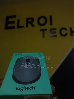 Logitech M170