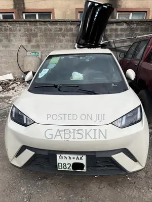 BYD Seagull 38 kWh FWD 2023 White