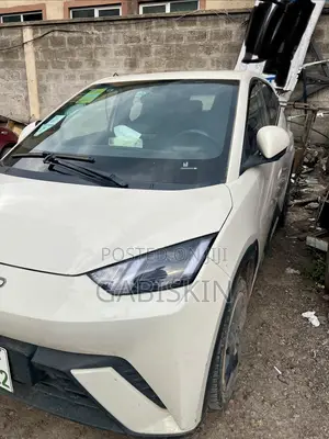 BYD Seagull 38 kWh FWD 2023 White