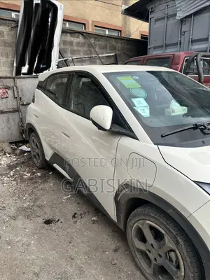 BYD Seagull 38 kWh FWD 2023 White