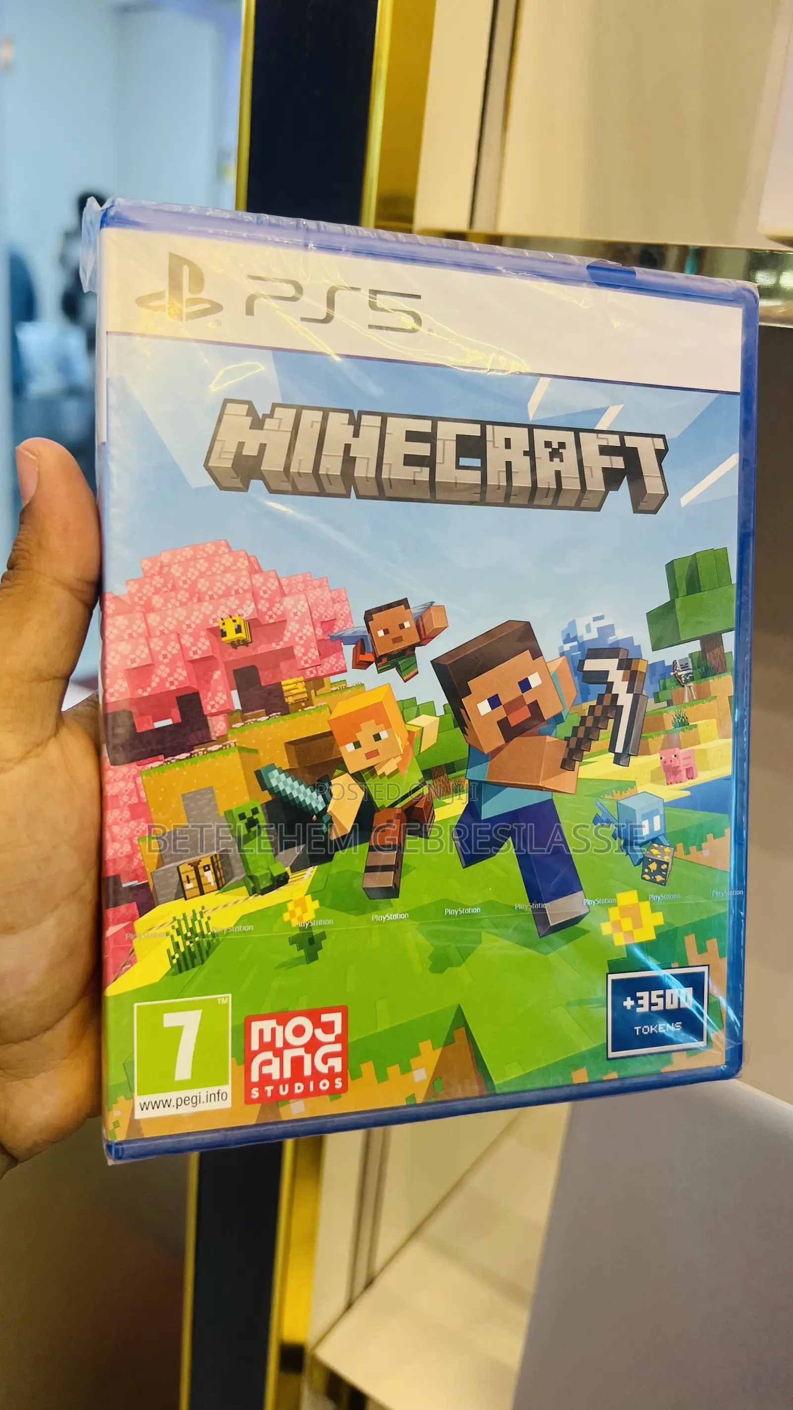 Mine Craft