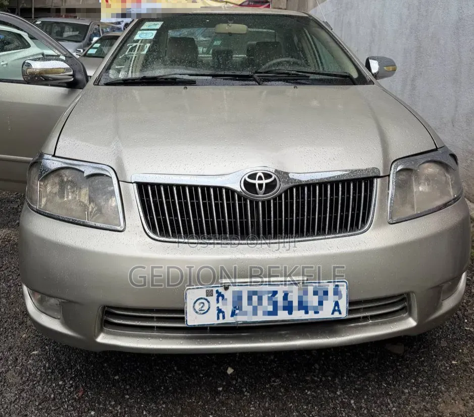 Toyota Corolla 2007 Gray