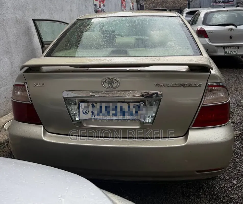Toyota Corolla 2007 Gray