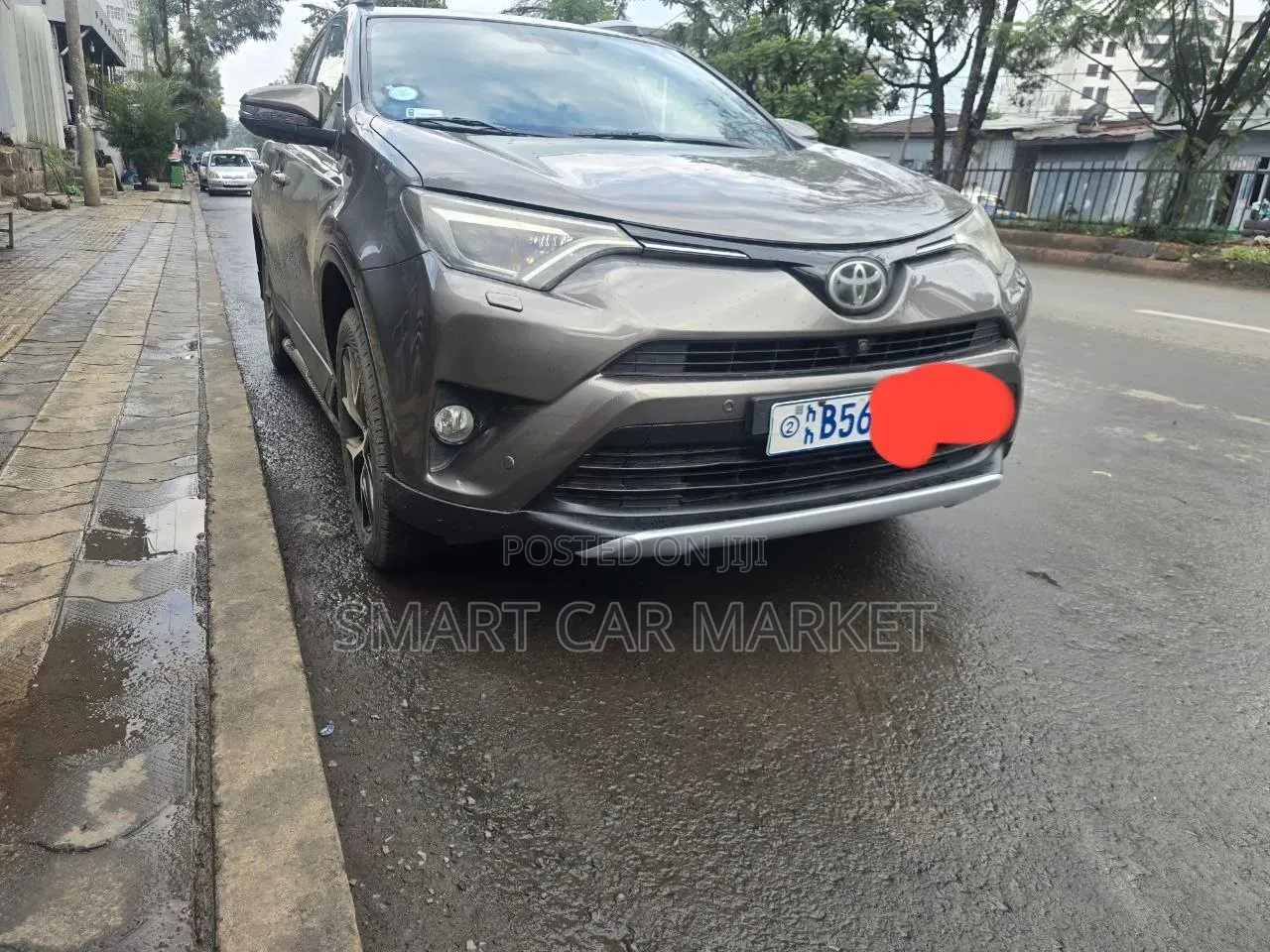Toyota RAV4 2018 Brown