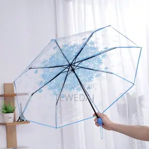 Transparent Umbrellas
