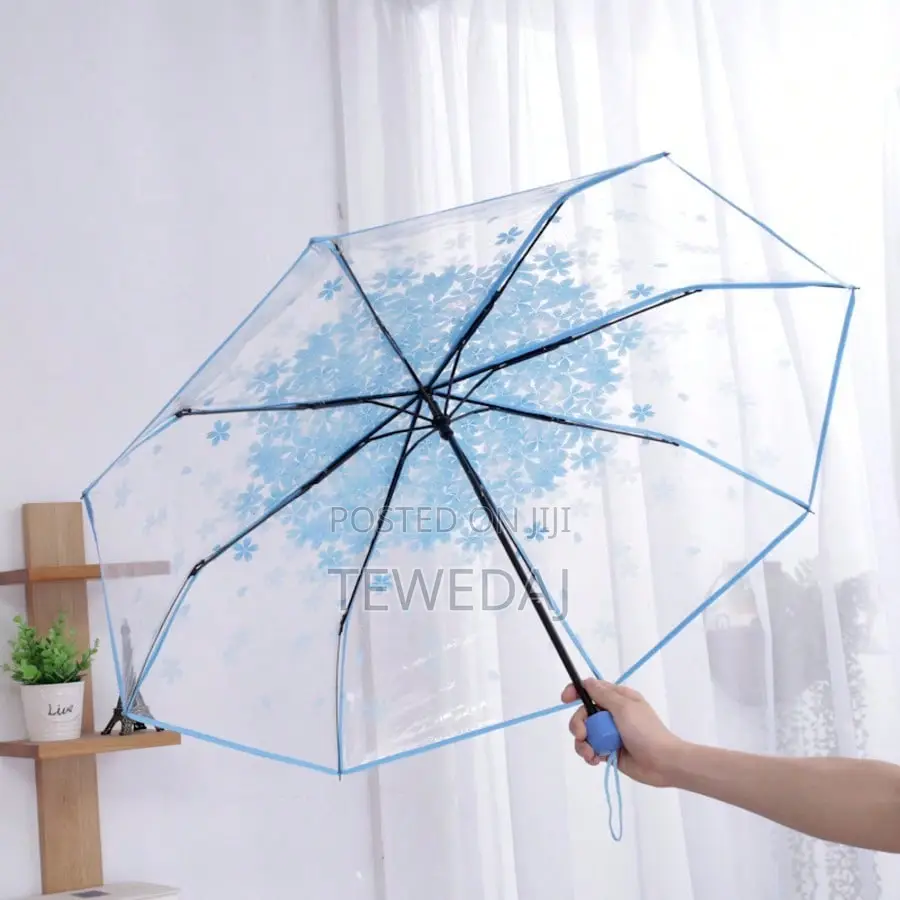 Transparent Umbrellas