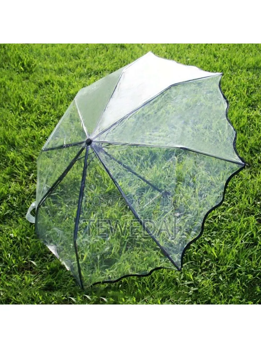 Transparent Umbrellas