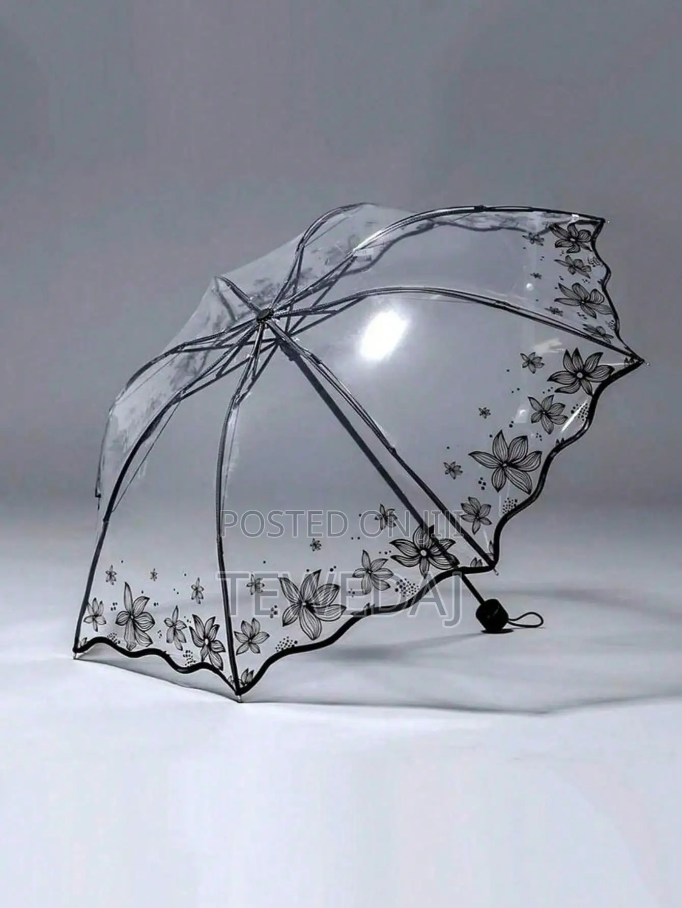 Transparent Umbrellas