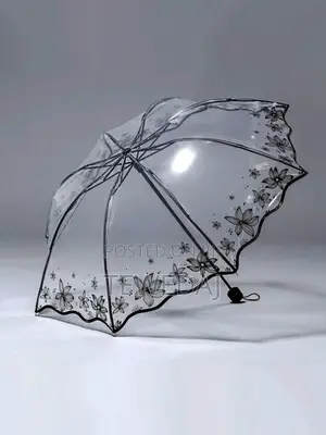 Transparent Umbrellas