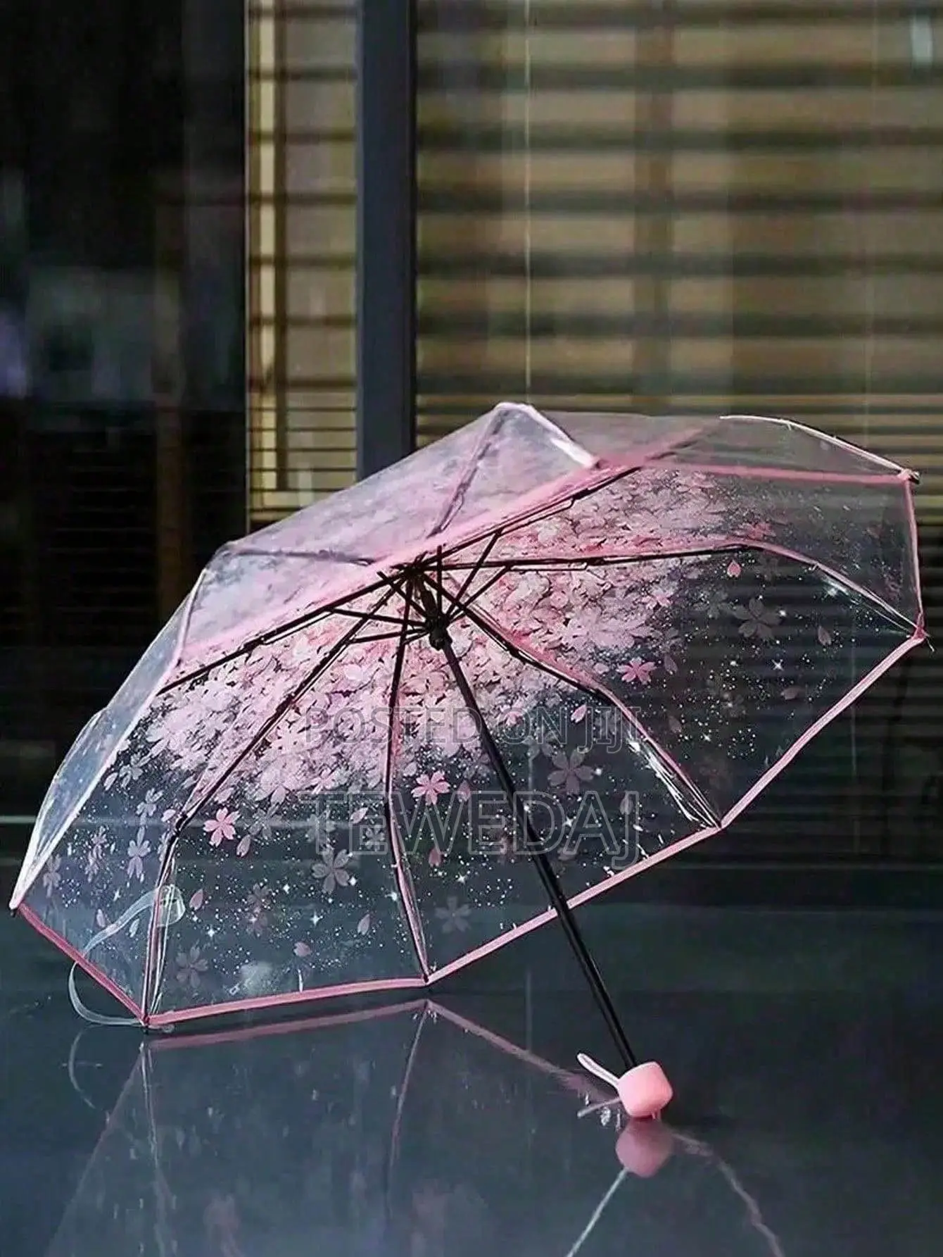Transparent Umbrellas