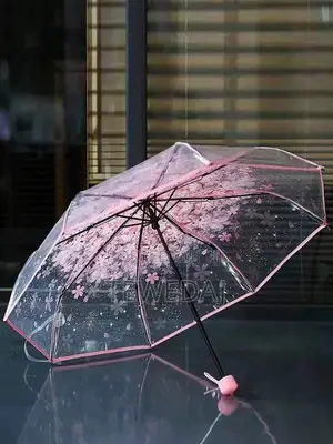 Transparent Umbrellas