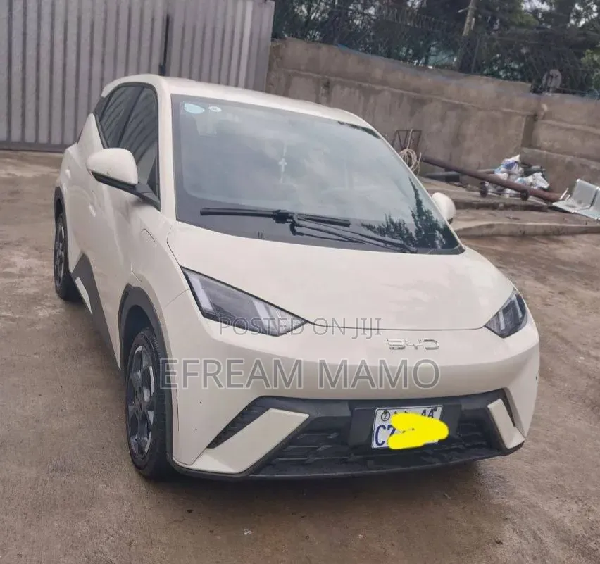 BYD Seagull 2025 White
