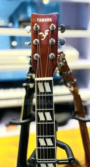 New Guitar