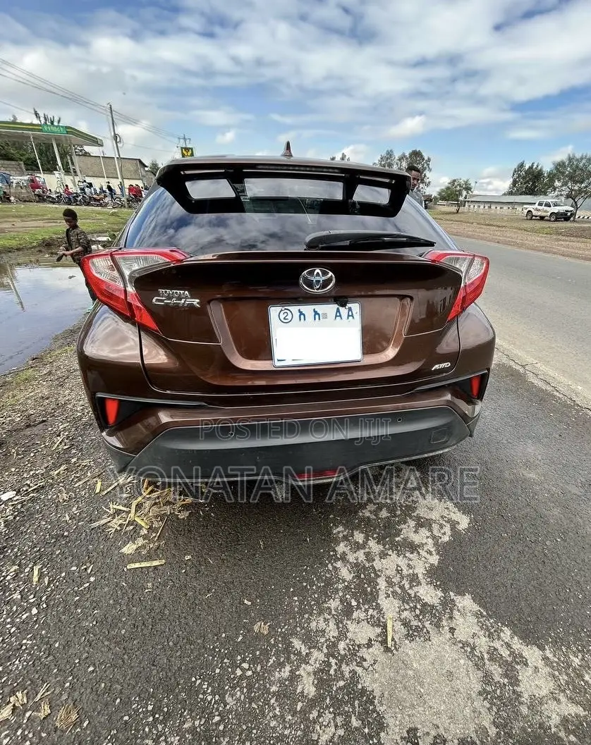 Toyota C-HR 2017 Brown