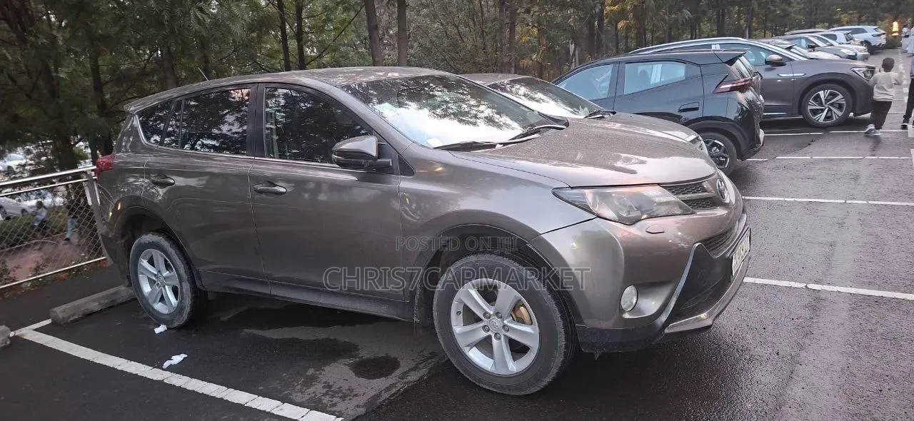 Toyota RAV4 2015 Brown