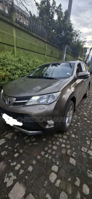 Toyota RAV4 2015 Brown