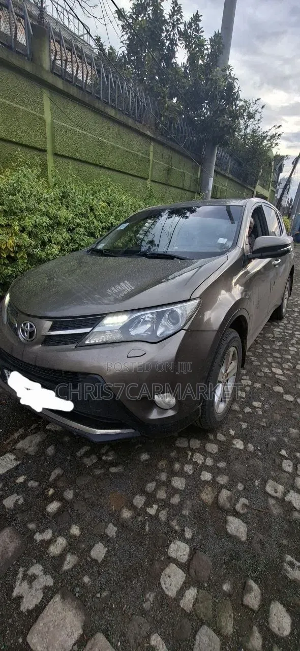 Toyota RAV4 2015 Brown