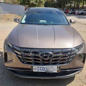 Hyundai Tucson 2022 Brown