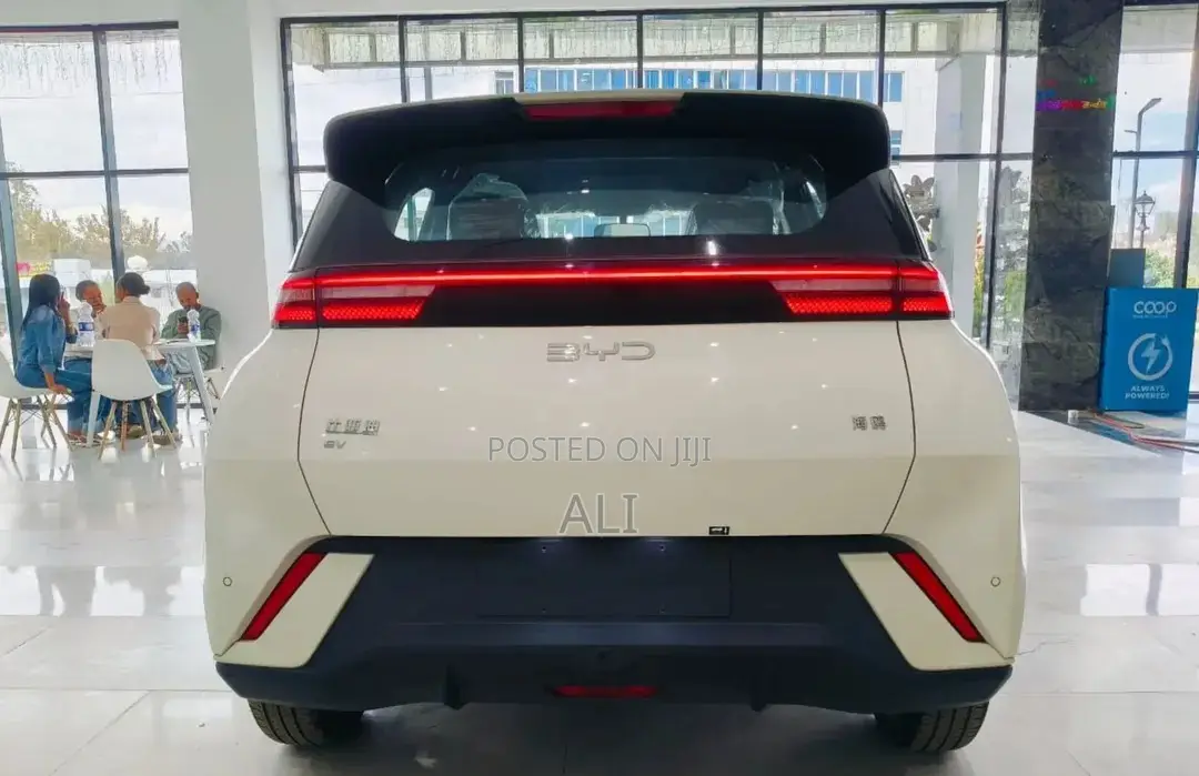 New BYD Seagull 2025 White