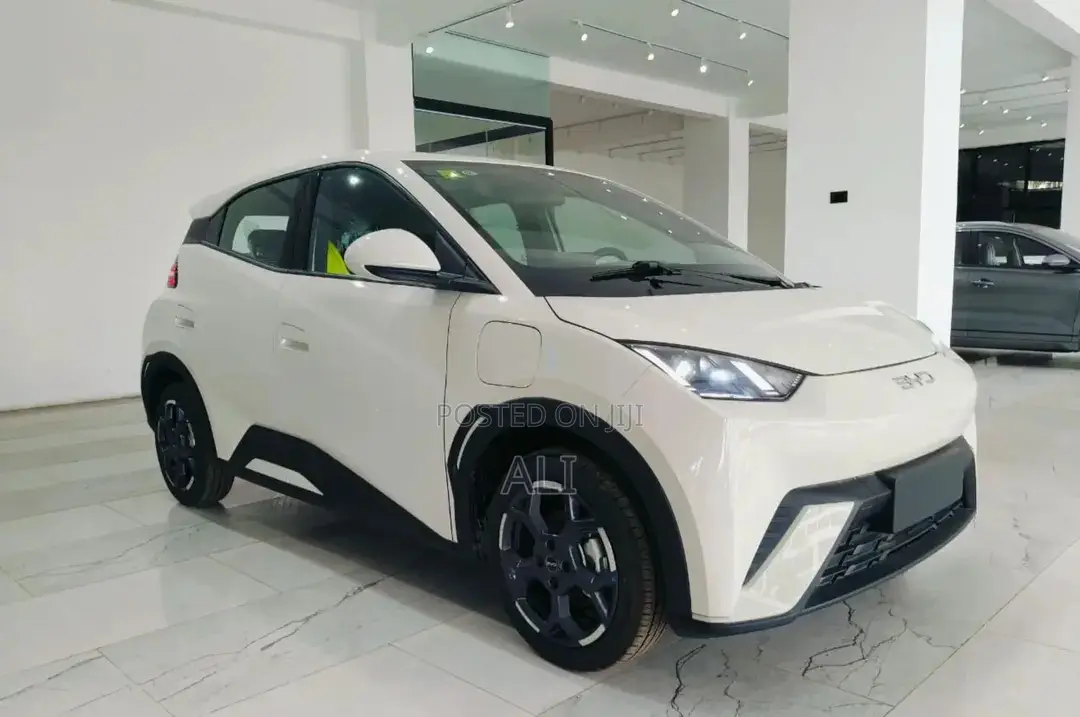 New BYD Seagull 2025 White
