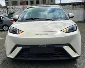New BYD Seagull 2025 Beige