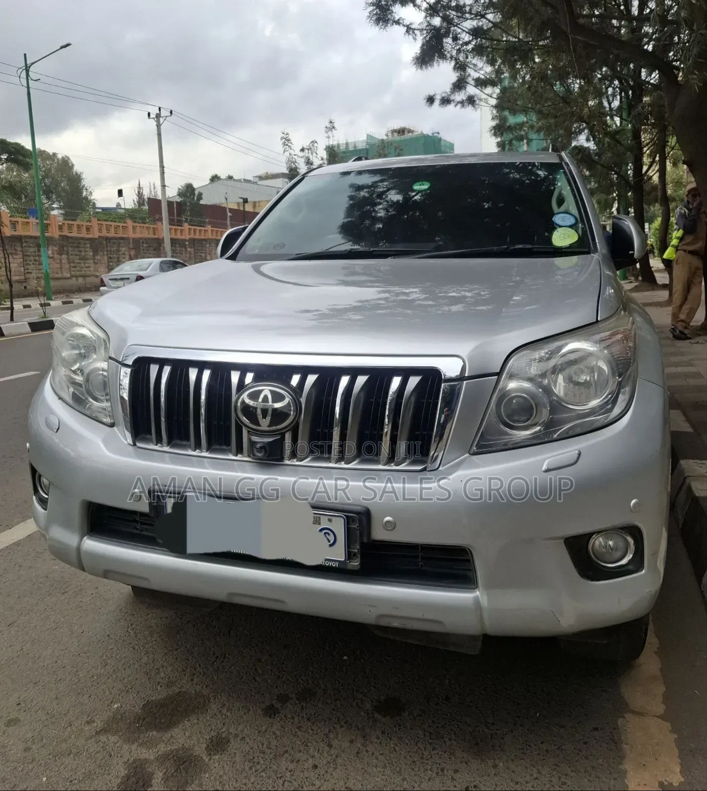 Toyota Land Cruiser 2012 Silver