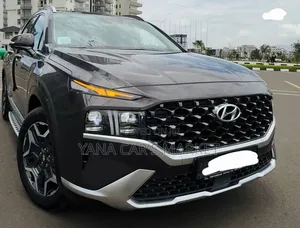 Hyundai Santa Fe Plug-In Hybrid 2023 Gray