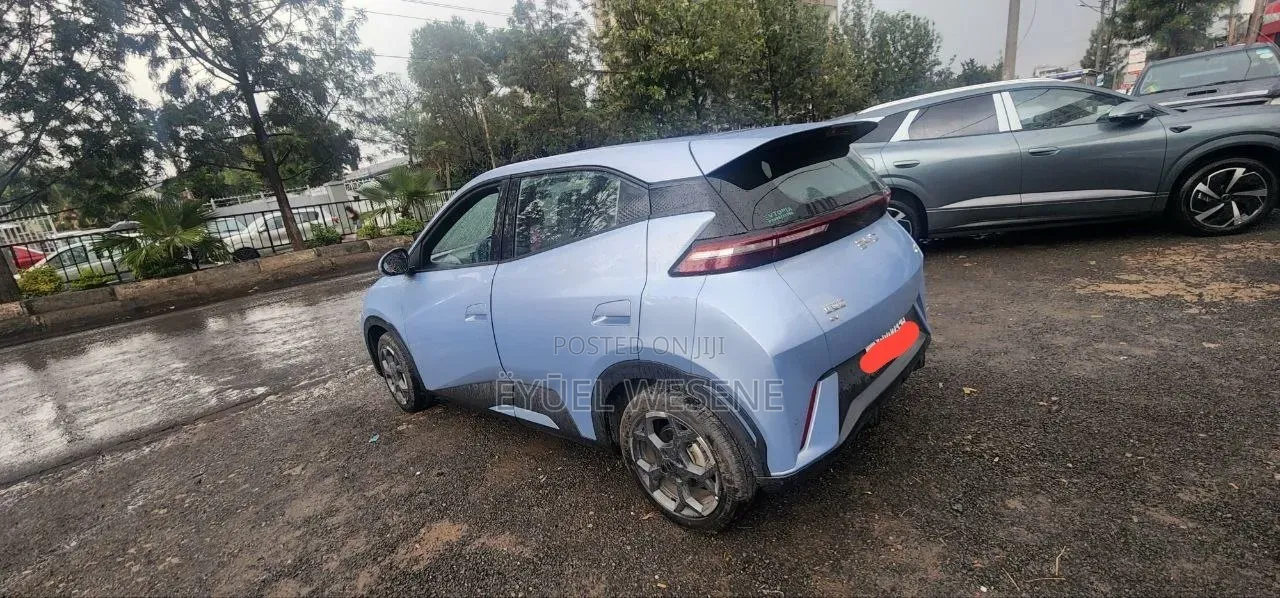BYD Seagull 2024