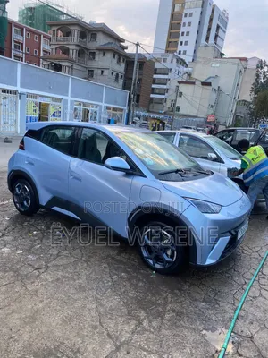 BYD Seagull 2024