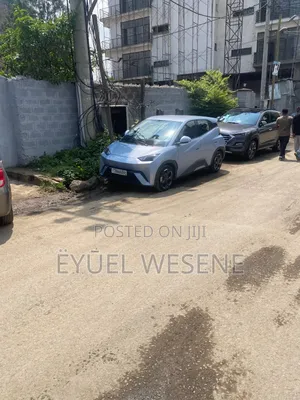 BYD Seagull 2024