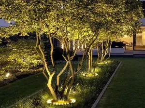 Tree Lights