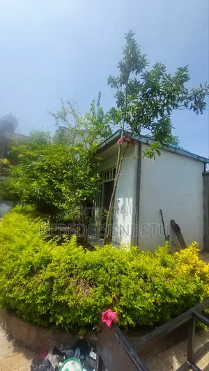 Furnished 3bdrm House in Oromia, East Shewa for rent