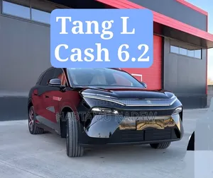 BYD Tang DM-i 2025 Black