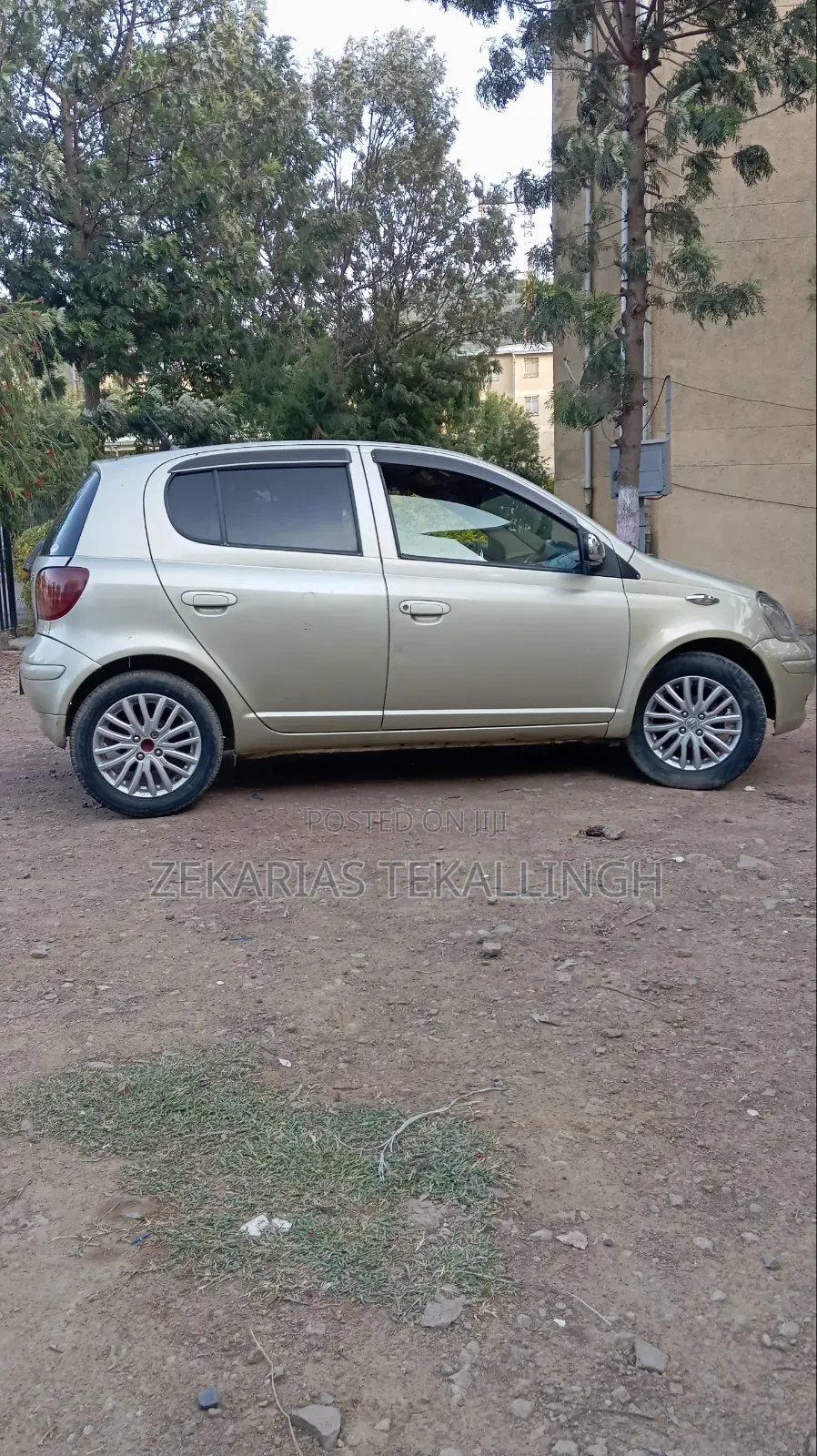 Toyota Vitz 2004 Gold