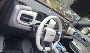 New BYD Leopard 3 2025 Black