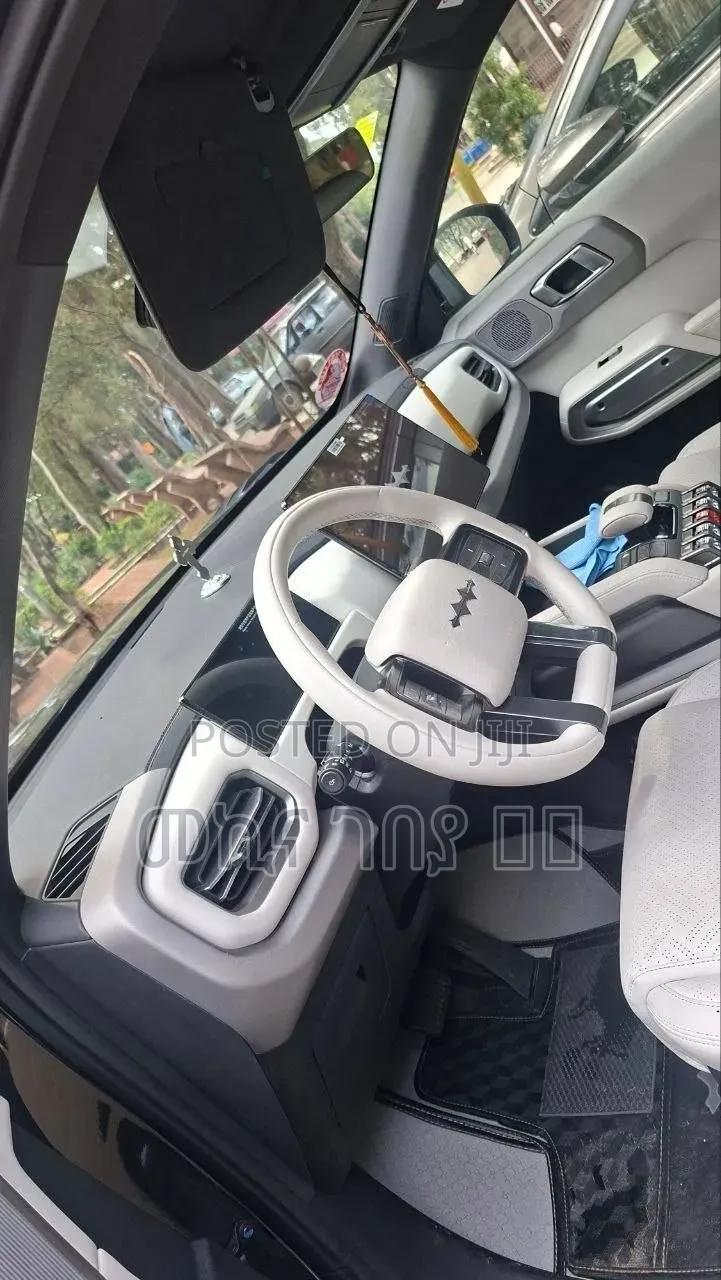 New BYD Leopard 3 2025 Black