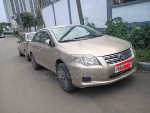 Toyota Axio 2007 Silver