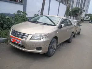 Toyota Axio 2007 Silver