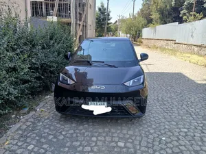 BYD Seagull 2024 Black