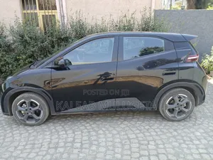 BYD Seagull 2024 Black