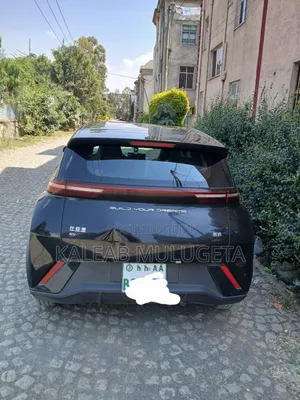 BYD Seagull 2024 Black