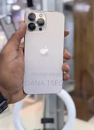 Apple iPhone 13 Pro Max 256 GB Silver