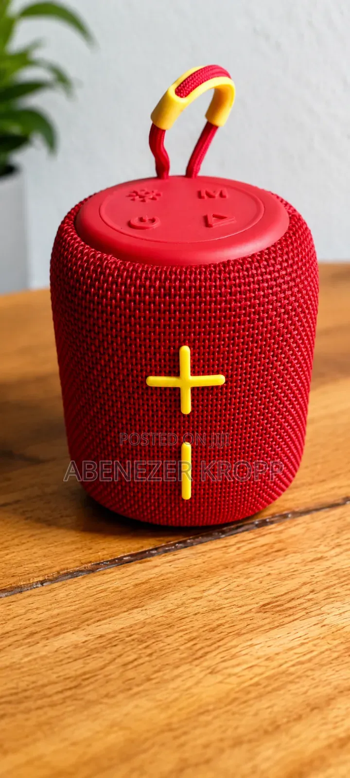 Out Door Speaker