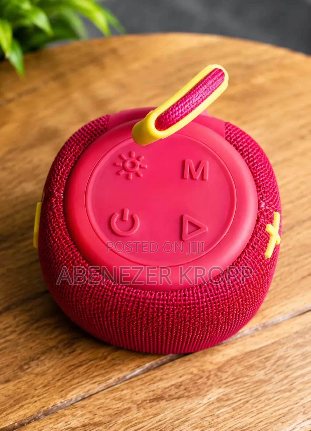 Out Door Speaker