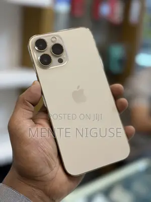 New Apple iPhone 13 Pro Max 256 GB Gold